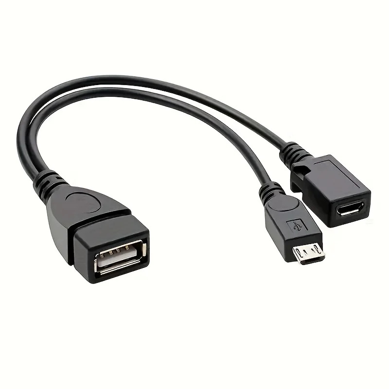 2-in-1 OTG USB to Micro USB Sp - Fire Tablet Accessories recensione e prezzo