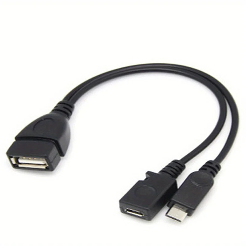 2-in-1 OTG USB to Micro USB Sp - Fire Tablet Accessories recensione e prezzo