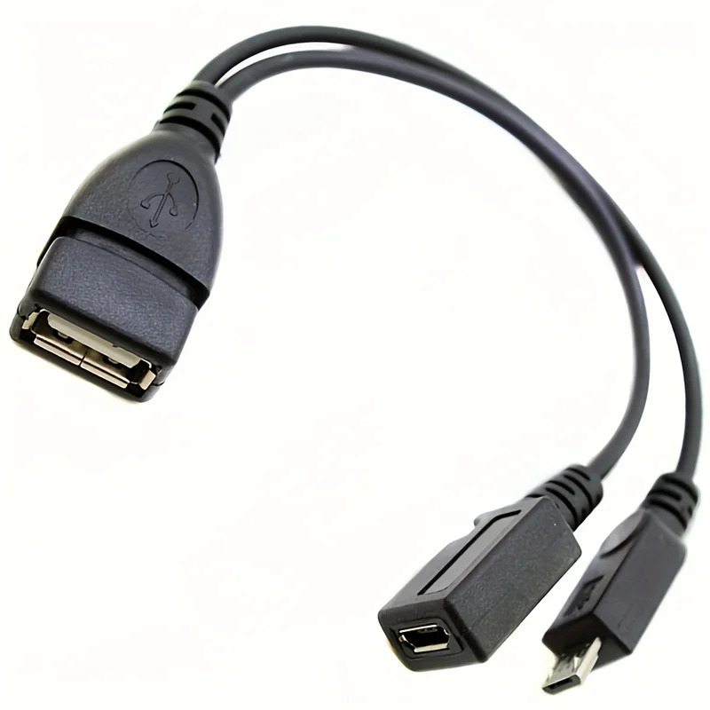 2-in-1 OTG USB to Micro USB Sp - Fire Tablet Accessories recensione e prezzo